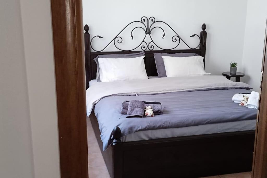 Elea Home Apartments أليكسانثيربوليس المظهر الخارجي الصورة